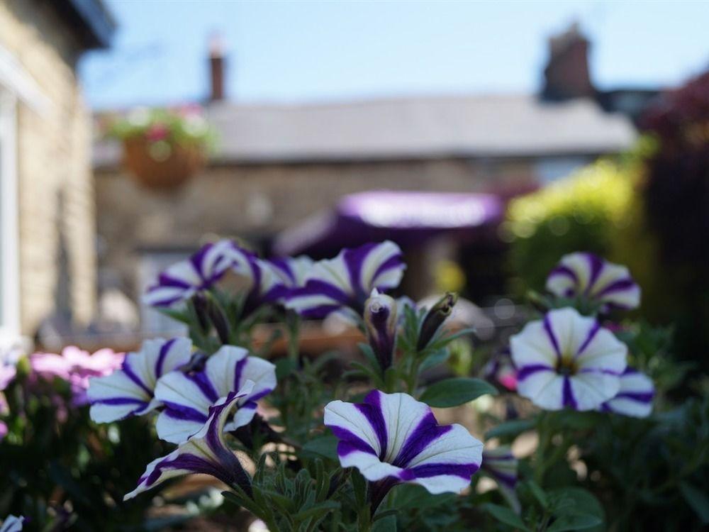 The Plough Bicester Bagian luar foto